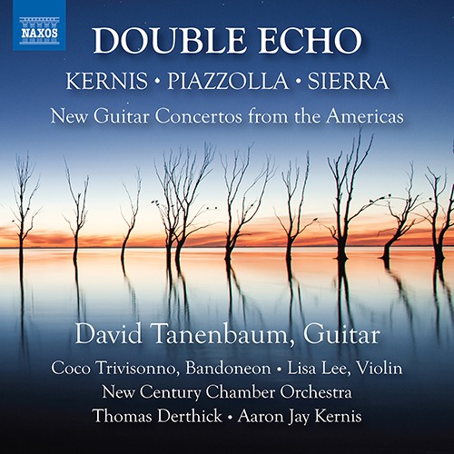 Pequeño Concerto for guitar and ensemble